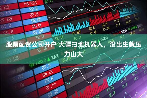 股票配资公司开户 大疆扫地机器人，没出生就压力山大
