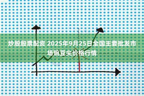炒股股票配资 2025年9月25日全国主要批发市场豌豆尖价格行情