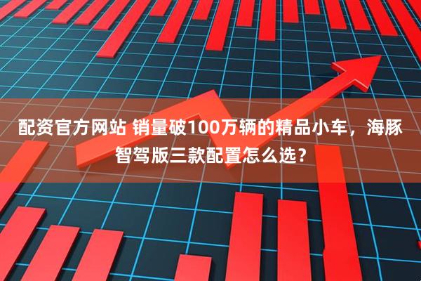 配资官方网站 销量破100万辆的精品小车，海豚智驾版三款配置怎么选？